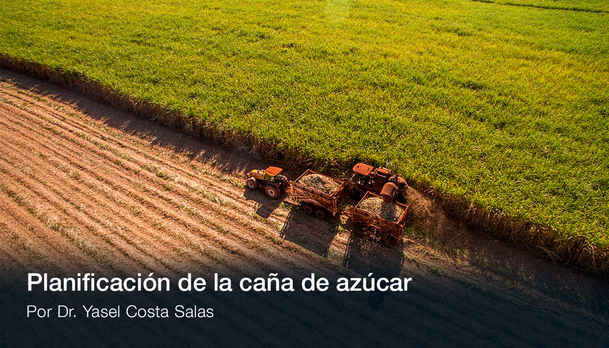 Planificación caña azúcar