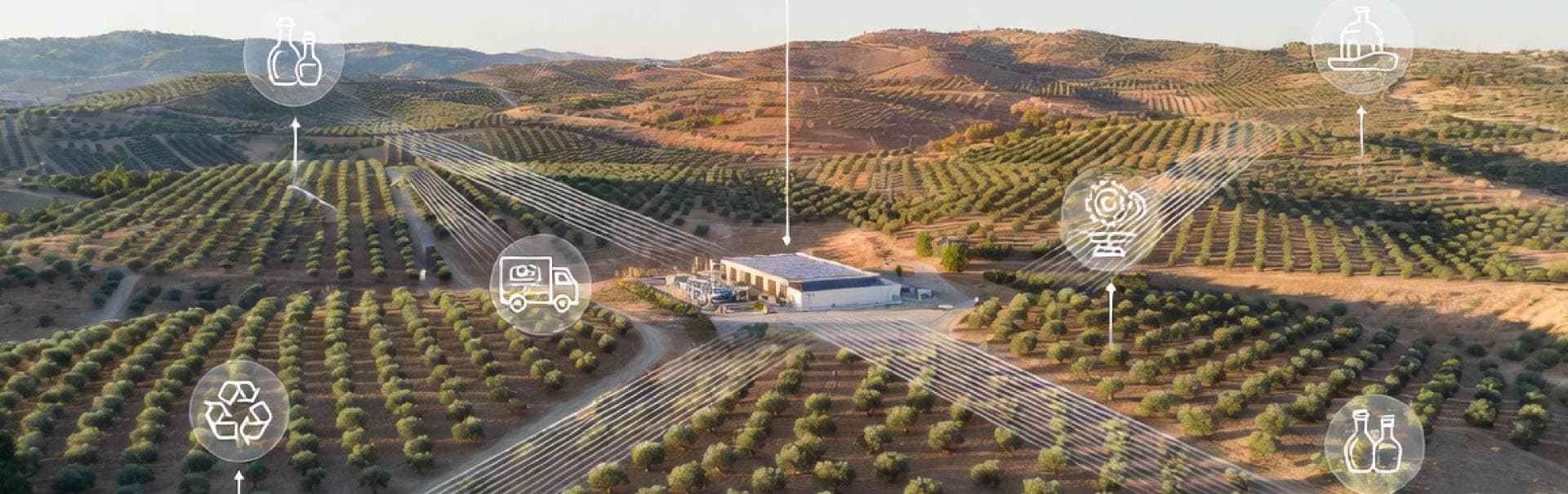 Circular economies for olive oil wastes – a pressing issue