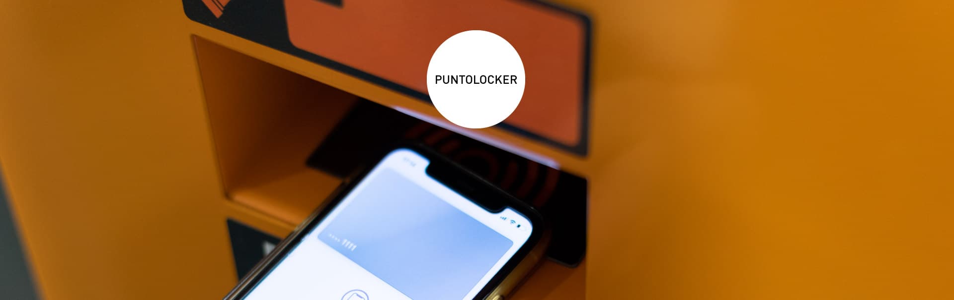 Portada Proyecto web Puntolocker